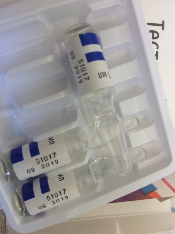 IMG_0849.JPG